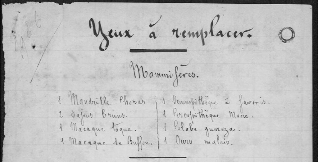 Journal du laboratoire, archives du muséum de Toulouse