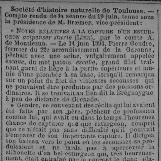 Notes relatives à la capture d'un esturgeon qui figure dans les collections du muséum de Toulouse