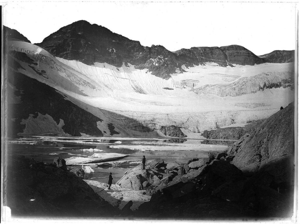 Photographie, collections du muséum de Toulouse