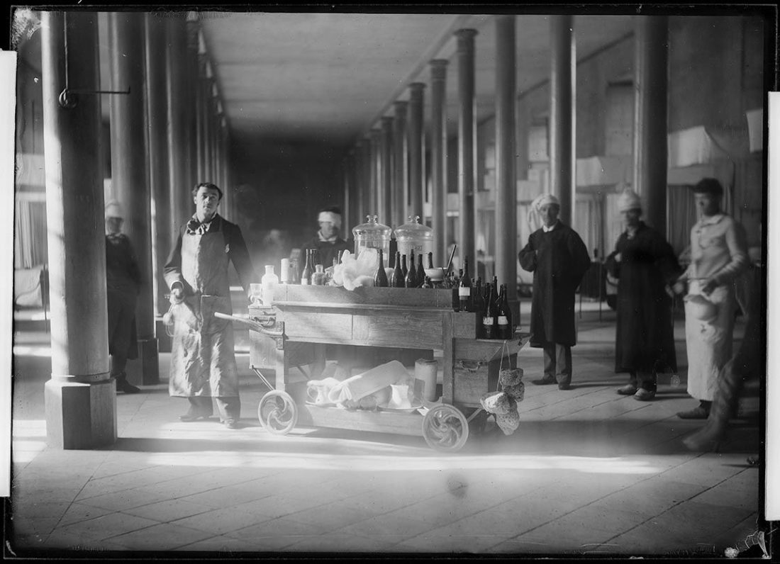 Photographie, collections du muséum de Toulouse