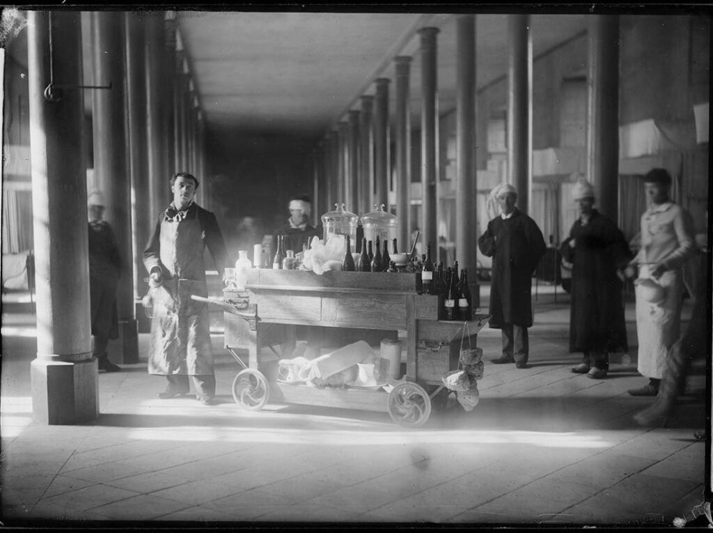 Photographie, collections du muséum de Toulouse