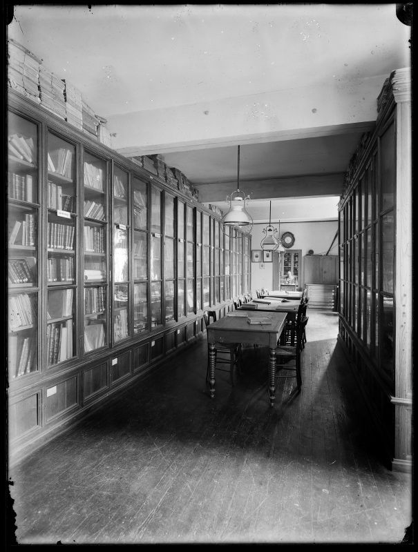 Ancienne bibliothèque du muséum de Toulouse