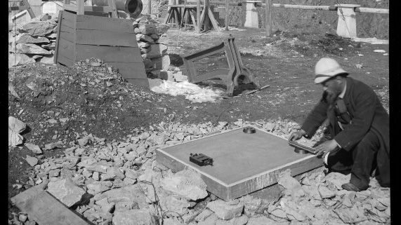 Photographie, collections du muséum de Toulouse