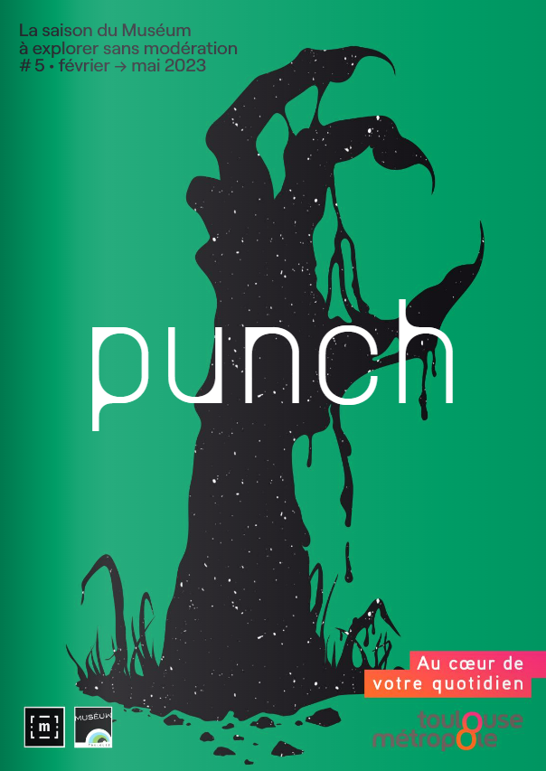 couverture du punch 5