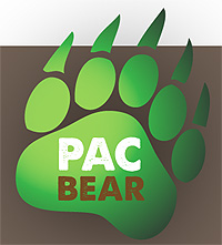 visuel du jeu pac bear