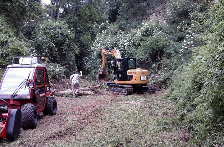 Préparation du terrain