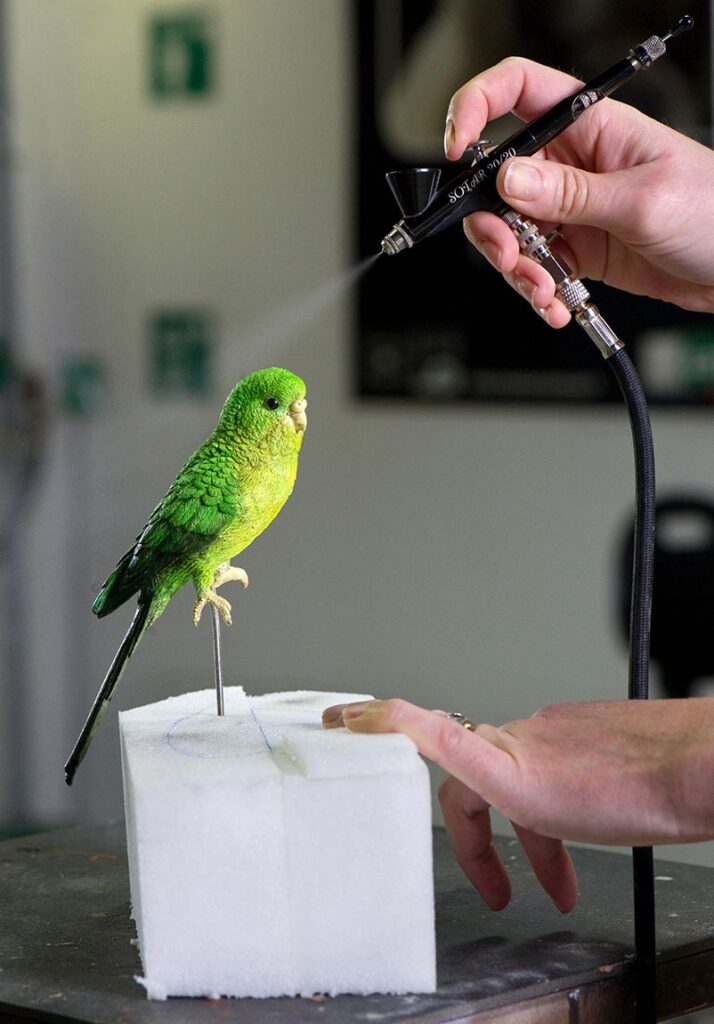 Peinture à l'aérographe, laboratoire du muséum de Toulouse