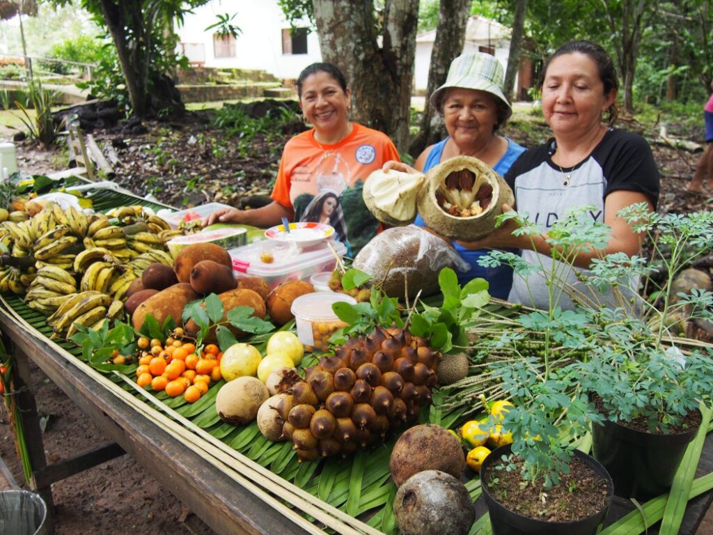 Marché à Santarem, Brésil