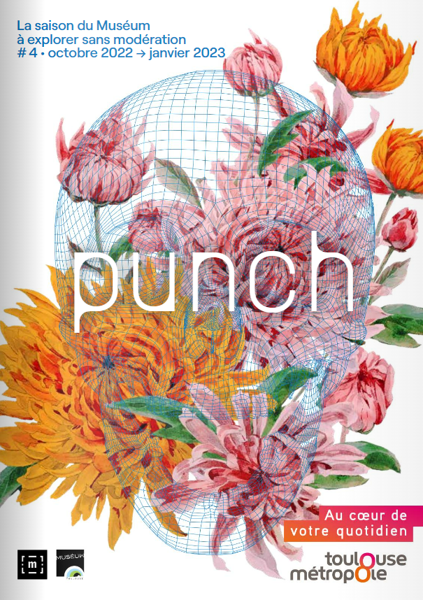 couverture du punch 4