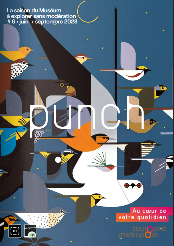 couverture du punch 6