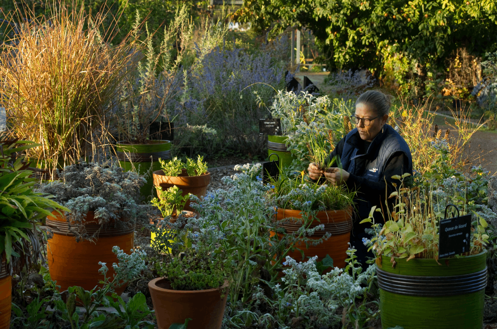 photo des jardins de Muséum à Borderouge - Toulouse