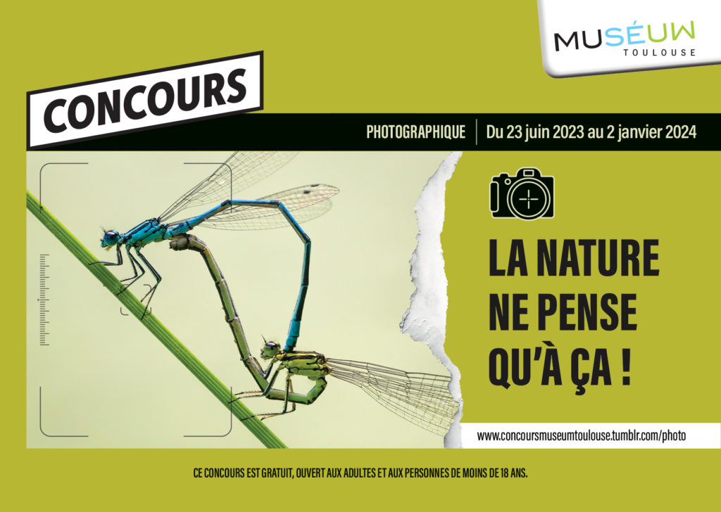 visuel concours photo 2023-2024