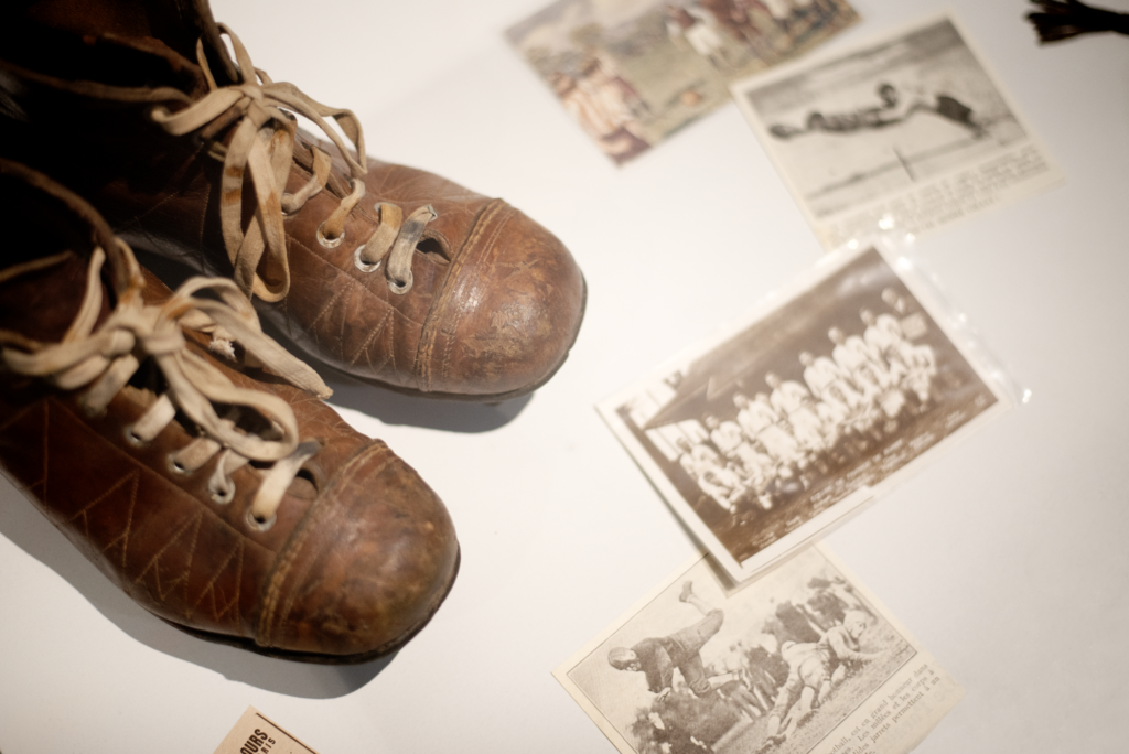 photo de l'exposition Naturellement rugby au Muséum de Toulouse