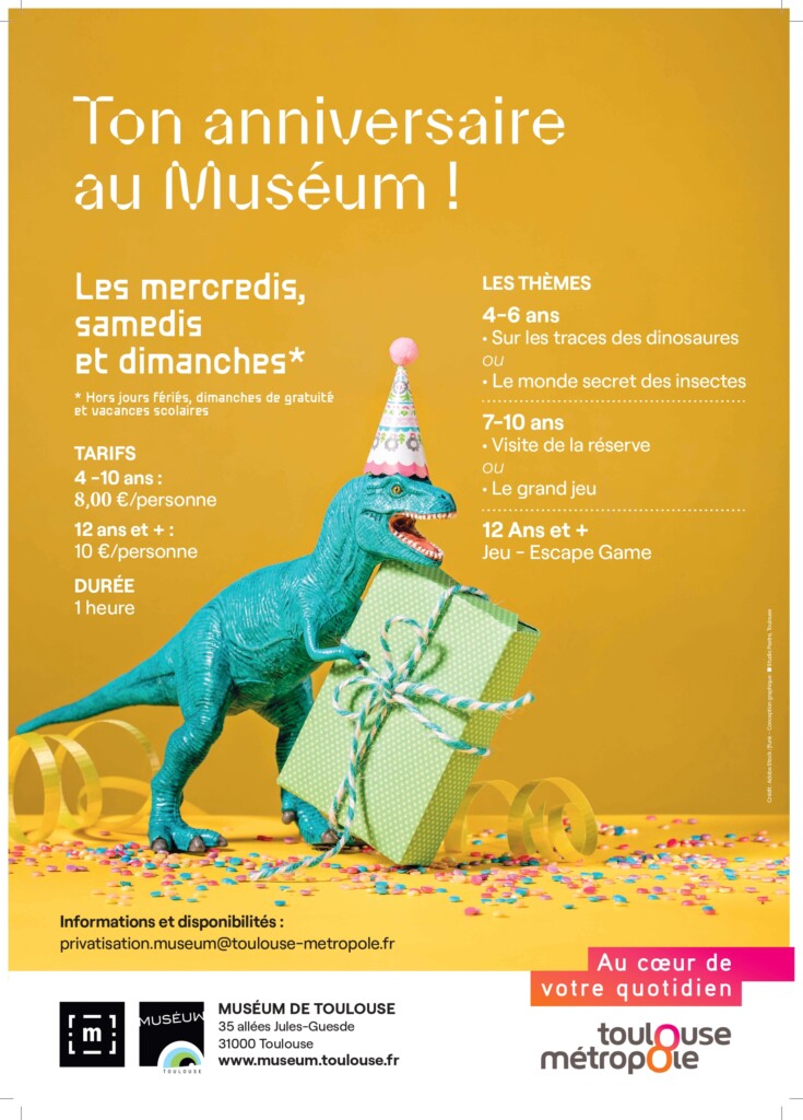 affiche anniversaire