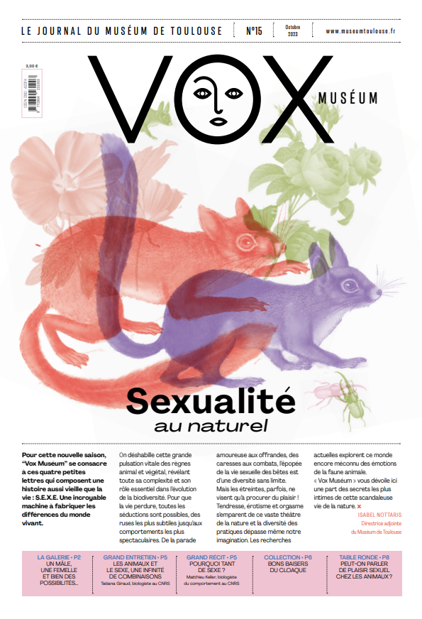 visuel du vox 15