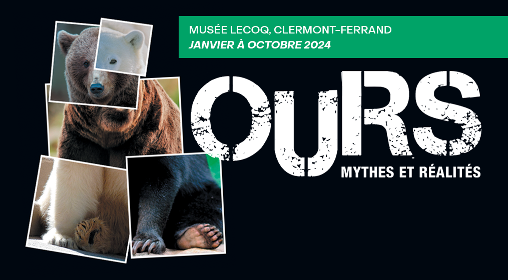 exposition ours de janvier a octobre 2024