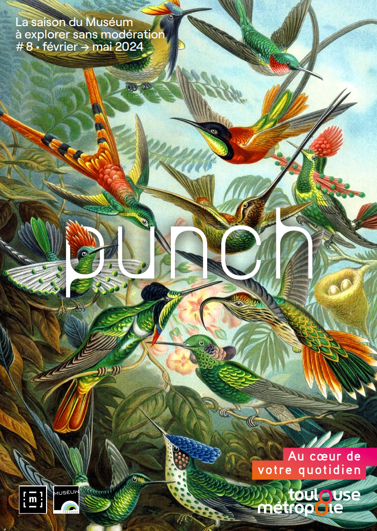 couverture du Punch numéro 8