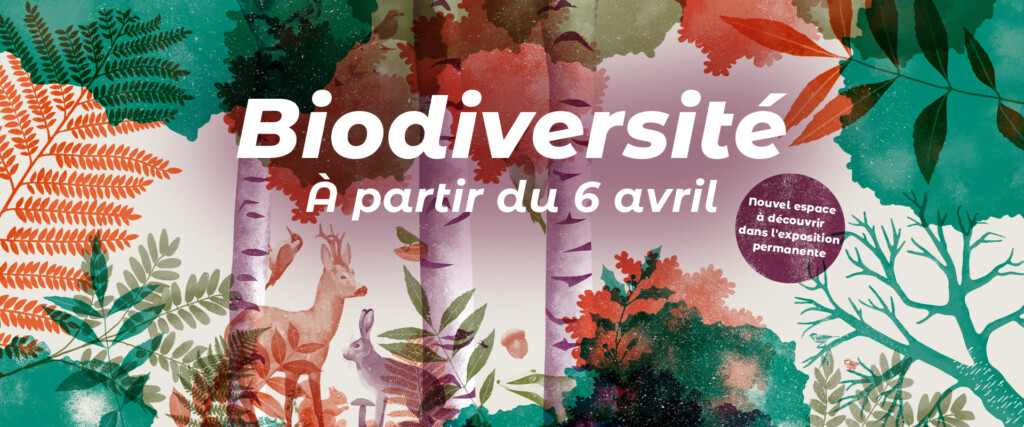 Biodiversité