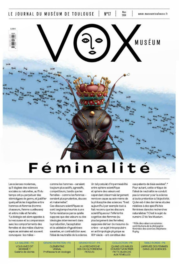 visuel du vox 17